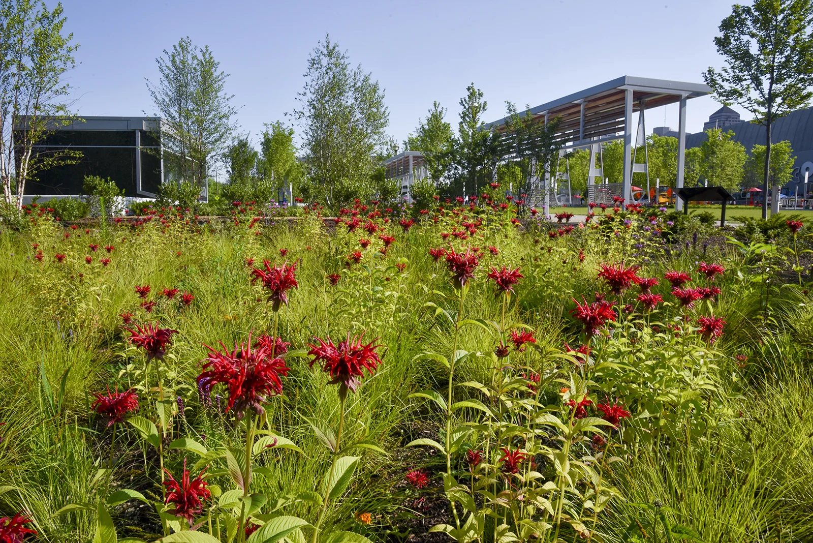 Dorrian Green — MKSK | Planning, Urban Design, & Landscape